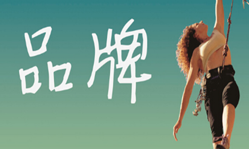 品牌推廣哪個好？怎么進行SEO優化操作？